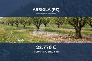 Immobile in asta di 80497 m² a Abriola