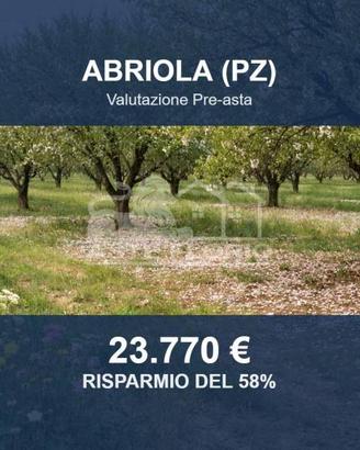 Immobile in asta di 80497 m² a Abriola