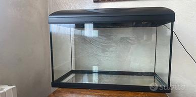acquario