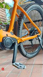 E-Mountainbike Microshift AdventX_E-Expl 520