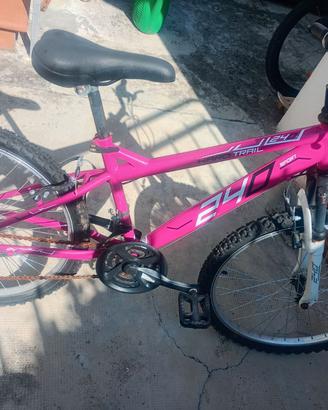 Bicicletta