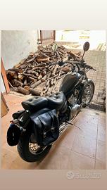 Yamaha Virago (Modello XV 250cc)