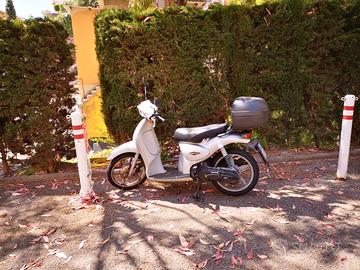 Aprilia Scarabeo 100 2T