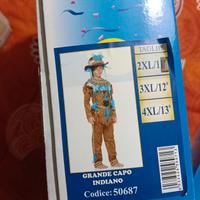 Vestito carnevale Indiano (Carnevale Veneziano)