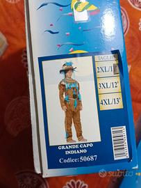 Vestito carnevale Indiano (Carnevale Veneziano)