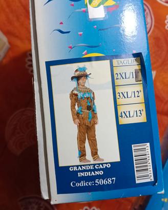 Vestito carnevale Indiano (Carnevale Veneziano)