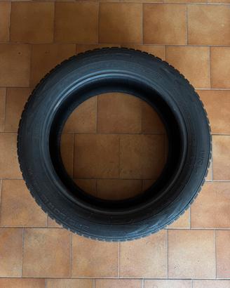 Pneumatici invernali Nokian 225/55 R18 99H XL M+S
