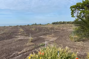 Terreno Edificabile 4.500 mq-Biancavilla(CT)