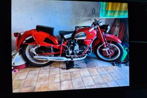 Moto Guzzi Falcone anno 1954 Turismo