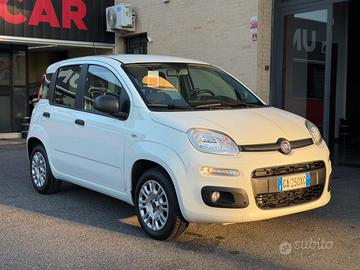FIAT Panda 1.2 EasyPower Easy (NESSUN VINCOLO)