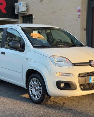 FIAT Panda 1.2 EasyPower Easy (NESSUN VINCOLO)