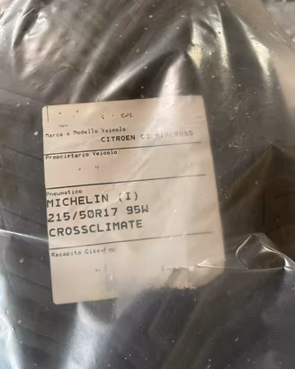 MICHELIN (I) CROSSCLIMATE usate una sola stagione