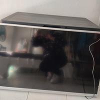 televisione TV color Led