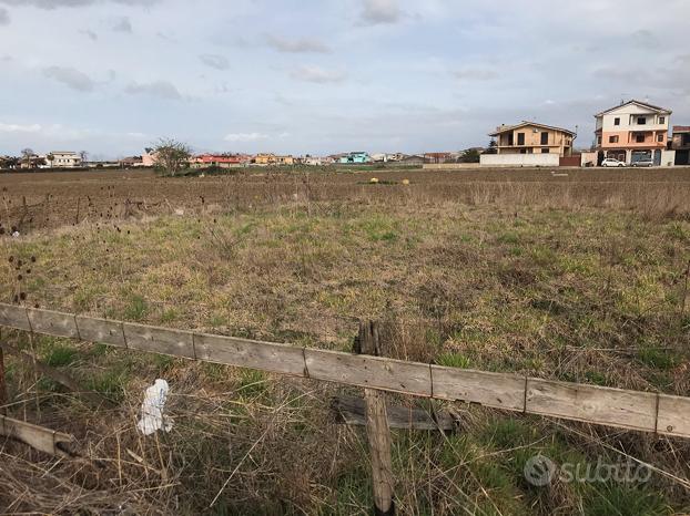 Terreno agricolo casal di principe prossimo a PUC - Vista 2