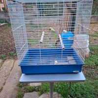 Gabbia volatili