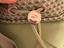 Immagine 6