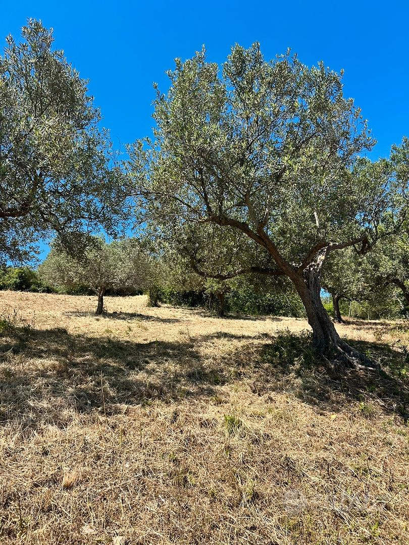 Rustico da ristrutturare - Vista 3