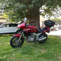 Yamaha TDM 850 - 2000