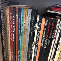 Riviste e fumetti sexy