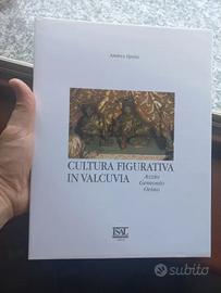 Cultura figurativa in Valcuvia