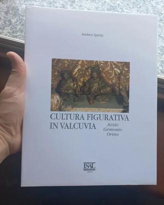 Cultura figurativa in Valcuvia
