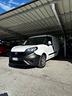 fiat-doblo-1-3-mjt-cargo-maxi-lounge-3-posti