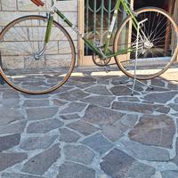 bici Atala anni 70