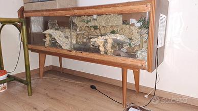 Gechi leopardini con terrario