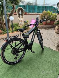bicicletta a pedalata assistita 