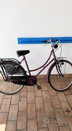 Bicicletta stile holland