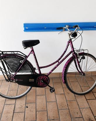 Bicicletta stile holland