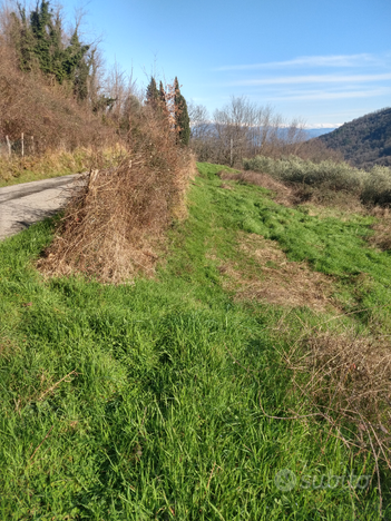 Terreno agricolo seminativo