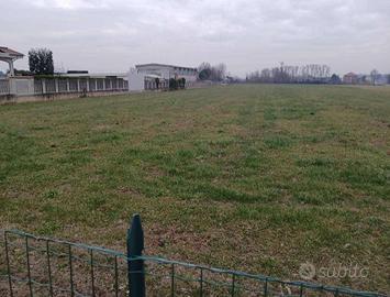 Immobile in asta di 7035 m² con 1 locale a Leinì