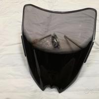 Cupolino Suzuki SV 650