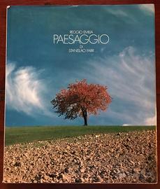 Reggio Emilia Paesaggio Stanislao Farri