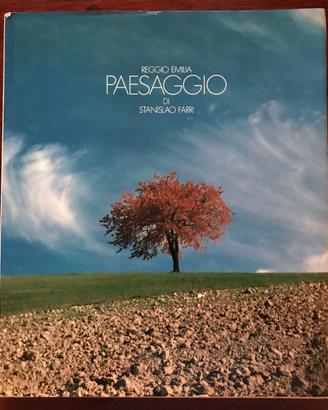 Reggio Emilia Paesaggio Stanislao Farri