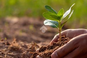 TER. AGRICOLO A MAZARA DEL VALLO