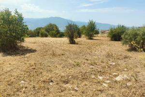 Terreno edificabile Chiaromonte (PZ)