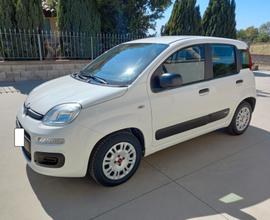 Fiat Panda 1.2 BENZ/GPL2020(IN SEDE YPSILON PANDA 