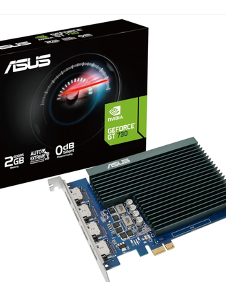 ASUS GeForce GT 730 Scheda Grafica, 2 GB