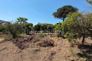 Terreno 4000 mq al centro di Boscotrecase