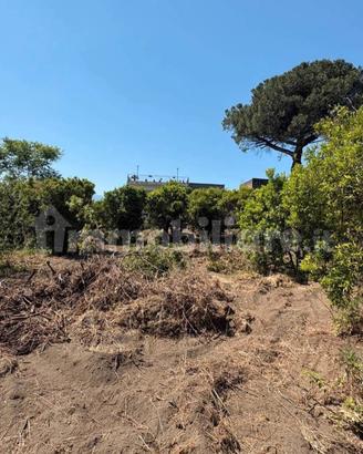 Terreno 4000 mq al centro di Boscotrecase