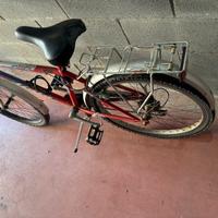 Muntain bike ragazzo