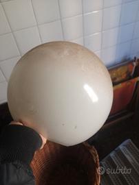 vetri paralumi bocce ricambi Lampadari lampade