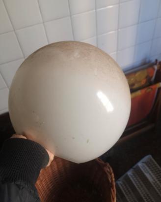 vetri paralumi bocce ricambi Lampadari lampade