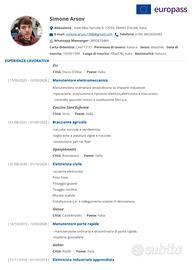Elettricista in officina/bracciante agricolo/Man.E