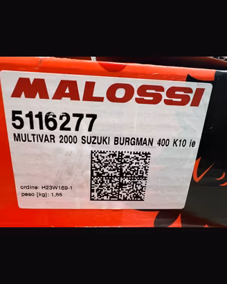 Variatore Malossi scooter Burgman 400