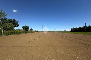 TER. AGRICOLO A SAN MAURO PASCOLI