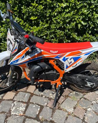 pit bike 50cc 2 t  (permuto anche con motorino)