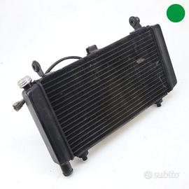 Radiatore acqua MOTO MORINI X-Cape 650